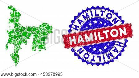 Ecology Hamilton Island Map Collage Of Herbal Leaves In Green Color Tinges With Grunge Bicolor Hamil