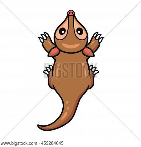 Vector Illustration Of Cute Little Aardvark Cartoon Character