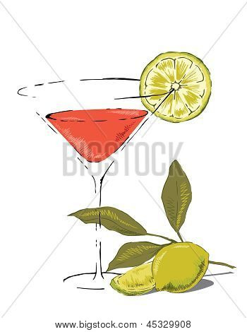 Cosmopolita