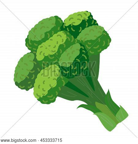Broccoli Vector Illustration. Green Broccoli Vegetable Element In Cartoon Style Isolated On White.