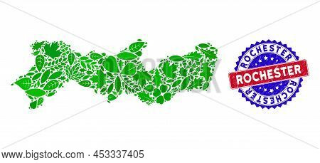 Eco Pernambuco State Map Collage Of Herbal Leaves In Green Color Tones And Grunge Bicolor Rochester 