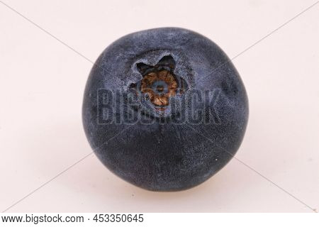 Detailed Closeup On A Single European Blueberry, Vaccinium Myrtillus Against A White Background