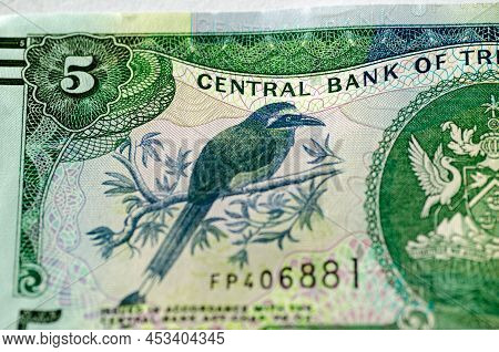 Detail From A 5 Dollar Banknote From Trinidad And Tobago Showing A Blue-crowned Motmot (momotus Momo
