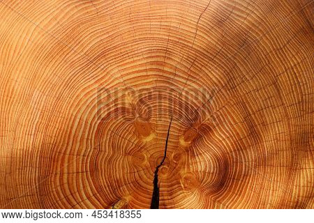Wood Texture Background And Copy Space For Your Design