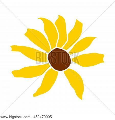 Open Heliopsis Blossom Vector Color Illustration Isolated On White Background. Vector Sketch Style T