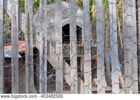 Clay Oven. Used In Rural Ranch In The Interior Of Brazil, South America, Wood And Wire Fence In Fore