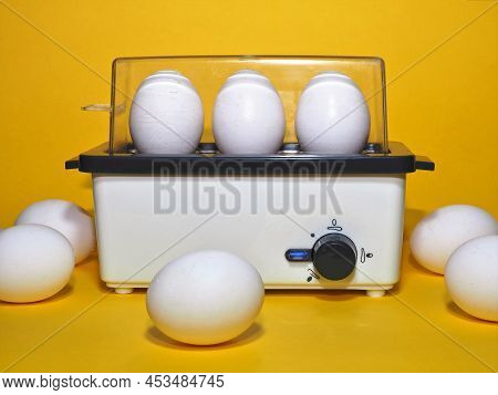 Egg Boiler With Cooking Time Control. Breakfast Eggs. Electric Egg Cooker