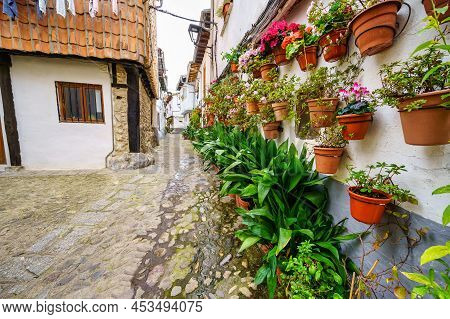 Narrow Alley Full Of Pots With Plants And Flowers On The Walls, Hervas, Caceres.