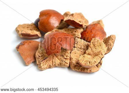 Dried Peels Of Hyphaene Thebaica, Doum Palm Or Gingerbread Tree Also Doom Palm. Isolated