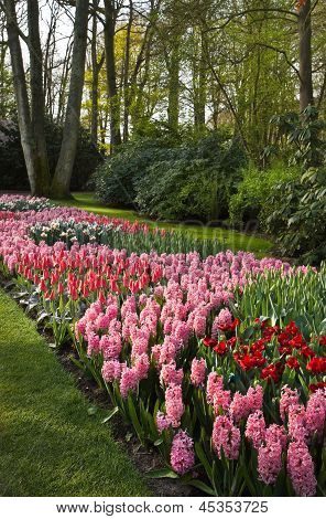 Parc coloré au printemps