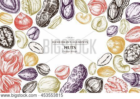 Design With Pastel Colored Cashew, Peanut, Pistachio, Hazelnut, Almond Walnut Stock Illustration