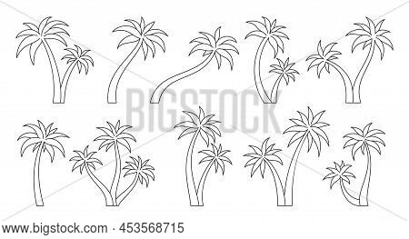 Palm Tree Tropic Plant Trunk Summer Black Line Set. Tropical Trunk Design Element Postcard Travel Va