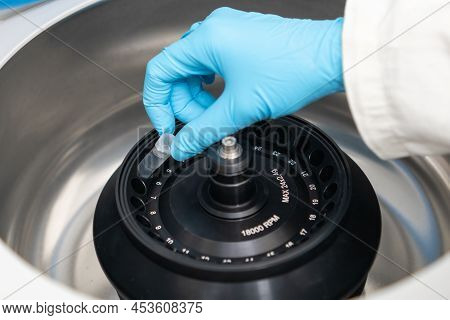 Scientist Puts Microcentrifuge Tubes Into Centrifuge For Phase Separation. Blood Or Serum Analysis I