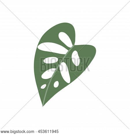 Colorful Hand Drawn Flat Houseplant Isolated On White Background