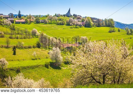 Spring Rural Landscape With Flowering Fruit Trees On A Sunny Day. The Village Of Hrinova In Central 