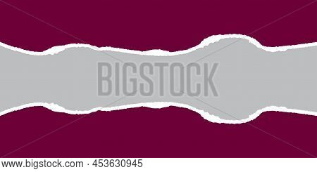 Paper Tear. Torn Page Effect. Grunge Texture. Soft Pattern. Vector Illustration. Stock Image.
