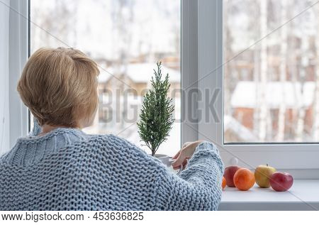 A Woman Sitting At The Window With Fruit And A Small Fur-tree On The Windowsill