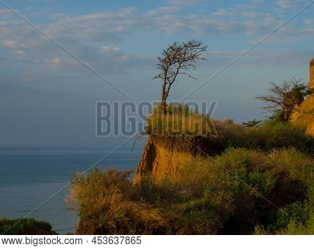 Seashore With Sheer Cliff. View On The Black Sea Coast Near The Village Of Sanzhiyka In Odessa Regio