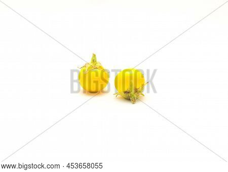 Two Over Ripen Yellow Small Round Eggplant For Heirloom Seed Saving Isolated On White Background