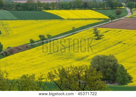 Paisaje de primavera