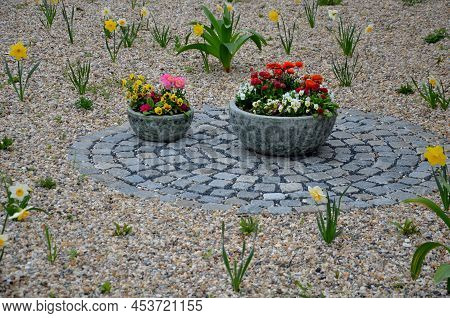 Flower Beds An Street With Cobbled Sidewalks Stone Cobblestone Mosaic. Spring Bulbs Bloom In Front O
