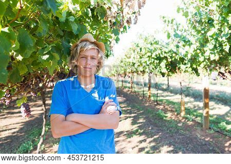 Guy Standing With Arms Folded Posing In Vineyard. Young Winegrower In Vine Row. Portrait Of Blond Fa