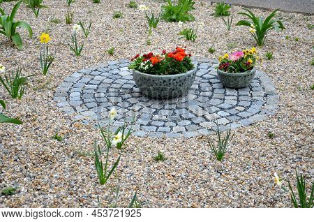 Flower Beds An Street With Cobbled Sidewalks Stone Cobblestone Mosaic. Spring Bulbs Bloom In Front O