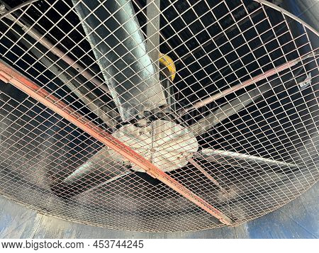 Fan Blades Of The Air Cooling Unit. Air Cooling Apparatus -- Equipment That Is Used For Cooling Or C