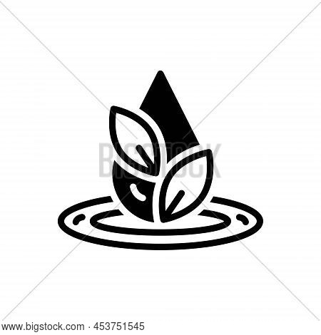 Black Solid Icon For Accuracy Purity Filtration Water Droplet Precision Chastity Cleanness Exactitud