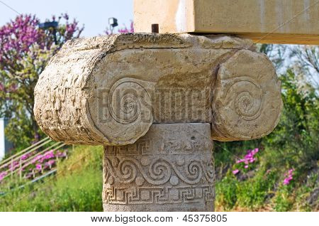 Parco archeologico. Metaponto. Basilicata. Italia.