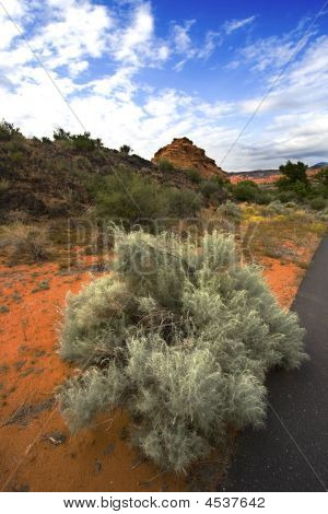 Redrocsk In Snow Canyon - Utah, sabbia e cespugli