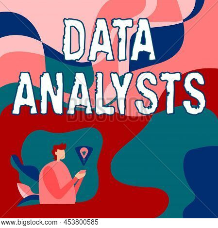 Text Sign Showing Data Analysts. Business Overview Programmer Design And Create Report Identifies Pa