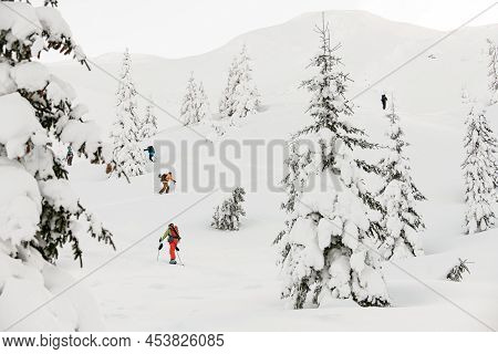 Winter Landscape Of Snow-capped Mountains With Fir-trees And Climbing Group Of Tourists With Splitbo