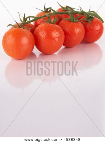 frische