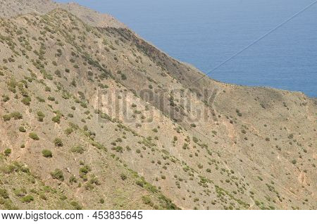 Hillside Next To The Sea. Agulo. La Gomera. Canary Islands. Spain.