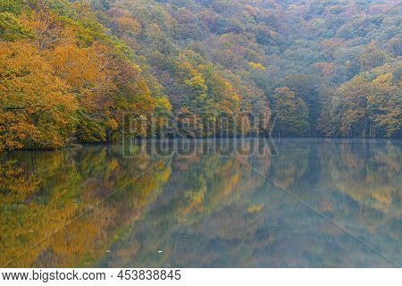 Togakushi's Lake , Kagami-ike Pond In Autumn Morning