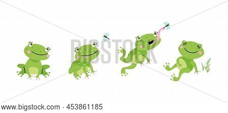 Funny Frog Jumping For Flying Insect. Cartoon Pond Frogs Jump And Eating. Green Toad Eat Dragonfly A