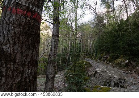 Trail At Madriu Perafita Claror Valley In Andorra,unesco World Heritage Site.