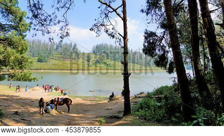 Tourists Enjoying Beautiful Landscape View Of Sandynulla Lake From Pine Forest, Ooty, Tamilnadu, Ind
