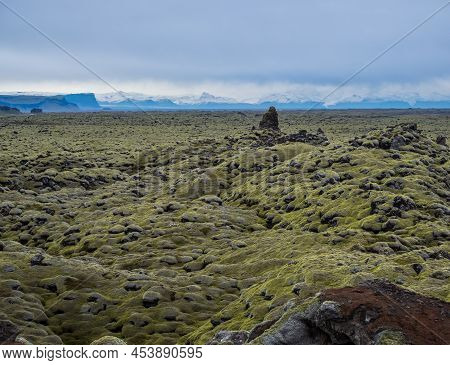 Scenic Autumn Green Lava Fields Near Fjadrargljufur  Canyon In Iceland. Green  Moss On Volcanic Lava