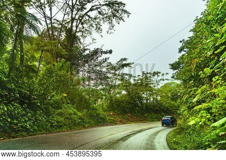 Beautiful Road In The Montains, Rainforest Roads Of Costa Rica, Heredia Province, Costa Rica