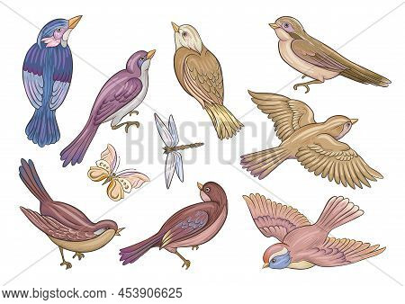 Set Of Birds: Sparrow, Finches, Butterflies, Dragonflies. Clip Art, Set Of Elements For Design Hand 