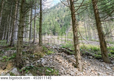 Mudflow At The Goeriachtal In Lungau, Austria