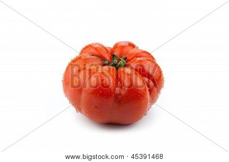 Grosse tomate rouge de près