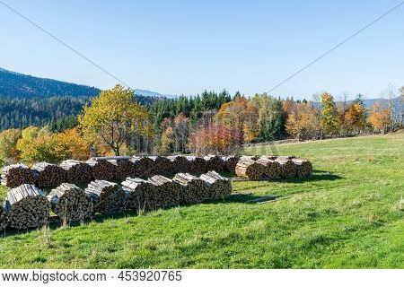 Autumn Landscape At The Mountain Small Arber, Bavaria, Germany