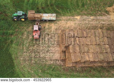 Loader At Unload Round Bales Of Straw From Hay Trailer. Store Hayat Farm. Hay Forage Feed For Beef A