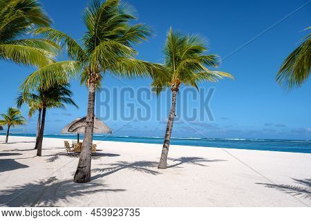 Tropical Beach With White Sand And Palm Trees Le Morne Mauritius, White Sandy Beach With Blue Ocean 