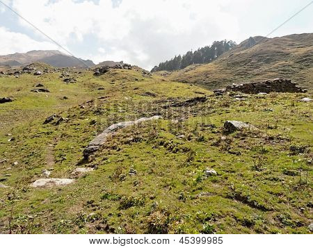 Himalaya çayır