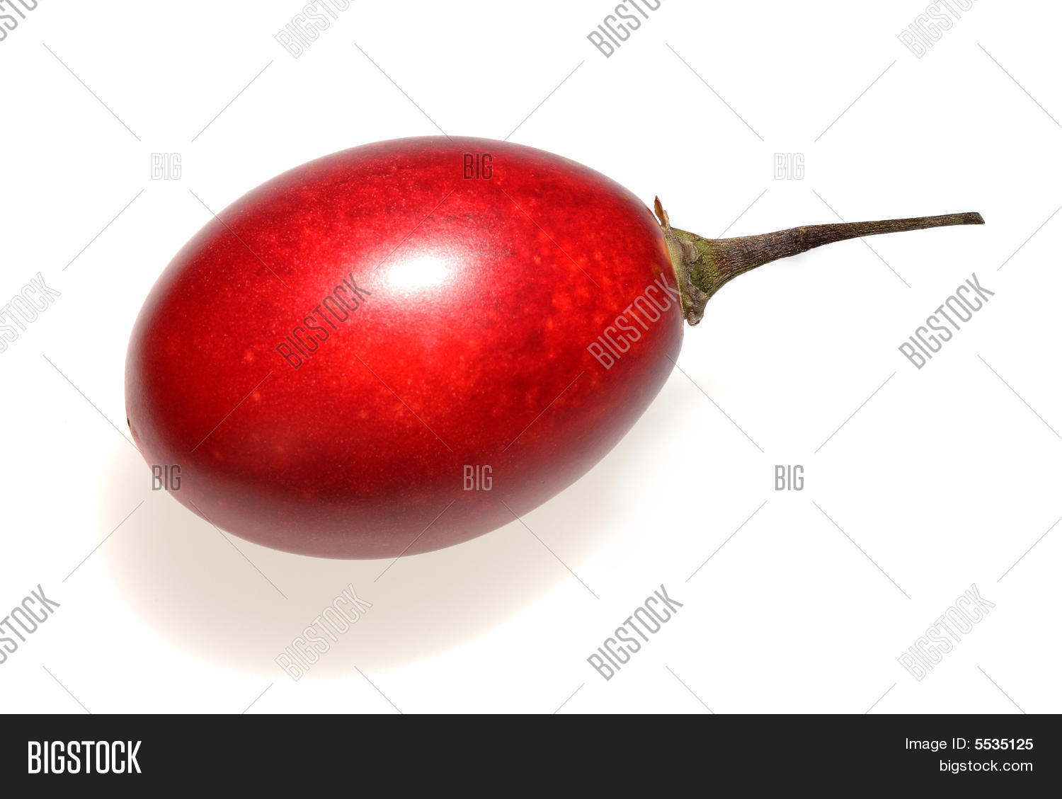 Image Preview
