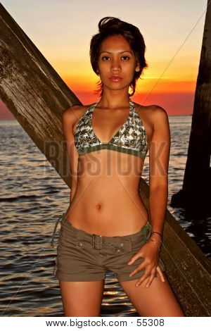 Bikini Girl...
